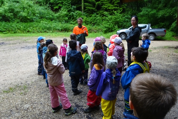 Waldwoche Kindergärten 2018